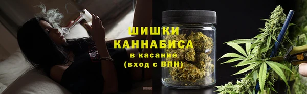 СК Волоколамск