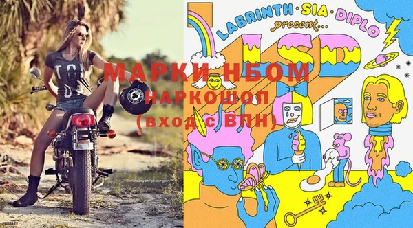 СК Волоколамск