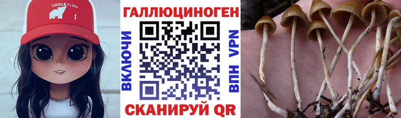 где купить наркоту  blacksprut ССЫЛКА  Галлюциногенные грибы Cubensis  Мезень 