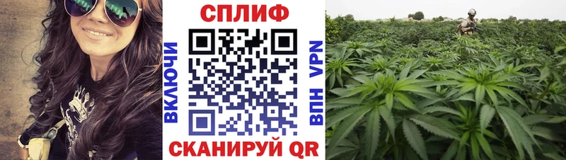Бошки Шишки гибрид  KRAKEN зеркало  Мезень  где купить наркотик 